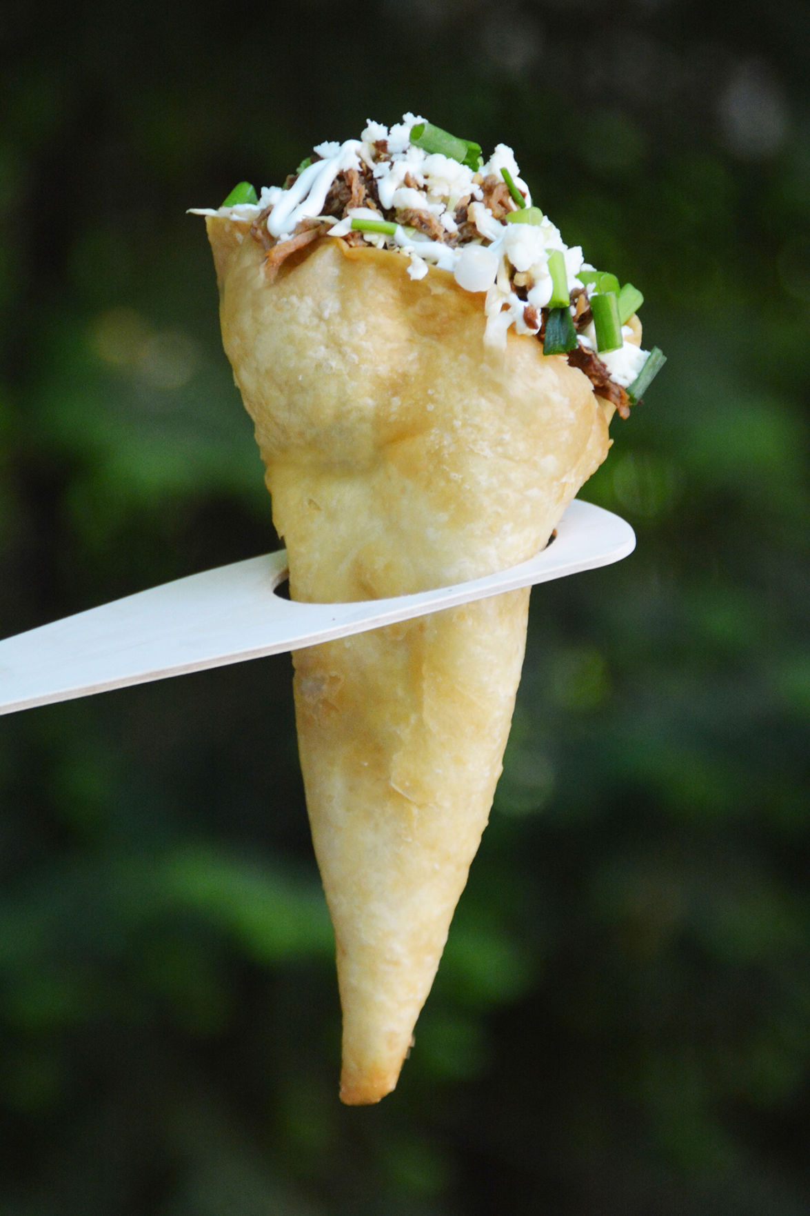 Carnitas Taco Cone